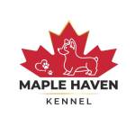 Maple haven Kennel Profile Picture