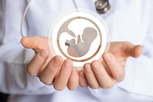 best ivf specialist in delhi | Best IVF doctor in Delhi | top ivf specialist in delhi- Dr. Rupali
