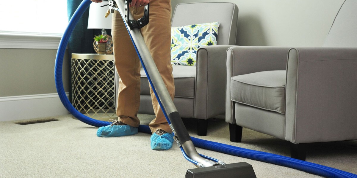 In-Depth Study Report on Local Carpet Cleaners