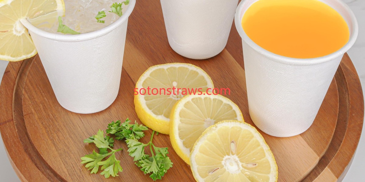 Waste-Free Future: Soton Edible Tech in Disposable Paper Cups