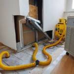 Residential Carpet Cleaning Elizabeth Profile Picture
