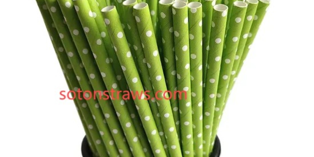 Soton: Building Sustainable Systems, Not Just Paper Straws Manufactory